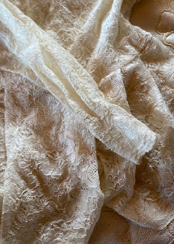 Dantel Bej Kadın Bluz - Görsel 2