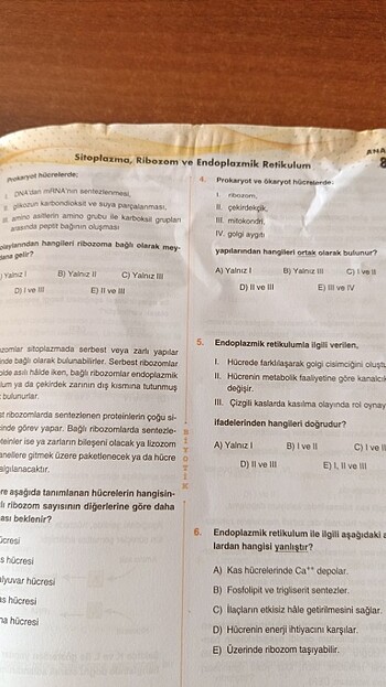 Beden Biyotik Tyt biyoloji soru bankası