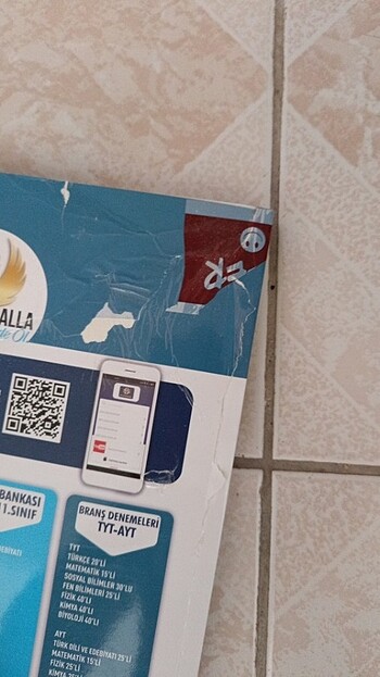 Beden Renk Bilgi Sarmal dilbilgisi soru bankası