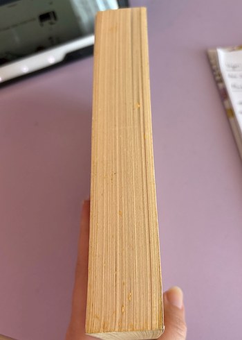 Bir Ben Vardır Bende Benden İçeri - Emine işinsu - Görsel 3