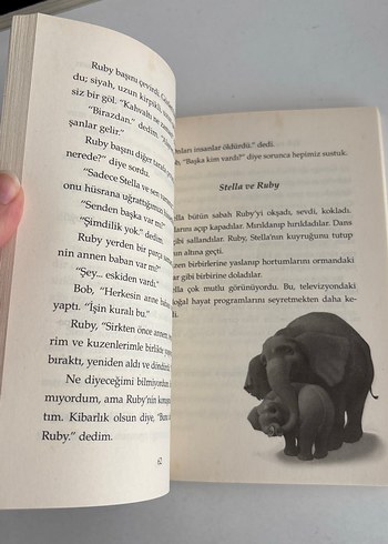 Ben, Yalnız Ivan - Katherine Applegate - Görsel 3