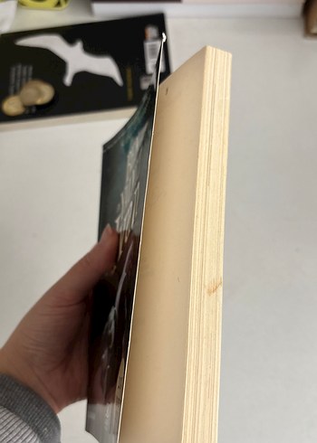 Ben, Yalnız Ivan - Katherine Applegate - Görsel 4