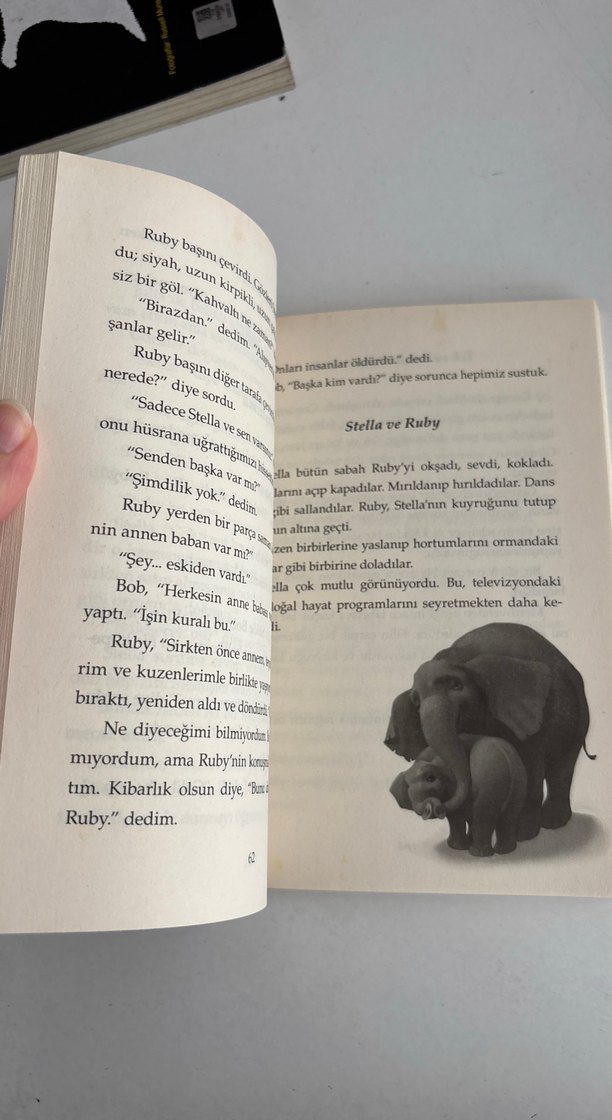 Ben, Yalnız Ivan - Katherine Applegate - Görsel 3