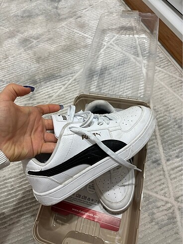 Puma orj puma