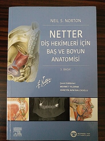 Netter Diş Hekimleri İçin Baş Ve Boyun Anatomisi