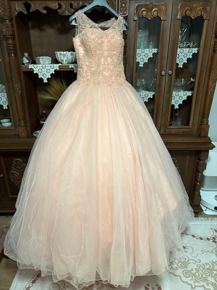 Pembe Vintage Nakışlı ve Boncuk İşlemeli Uzun Abiye - Görsel 3