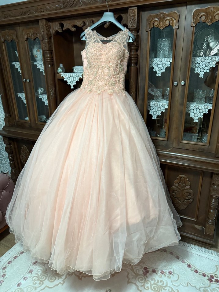 Pembe Vintage Nakışlı ve Boncuk İşlemeli Uzun Abiye - Görsel 2