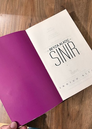 Beyza Alkoç - Sınır Romanı - Görsel 2