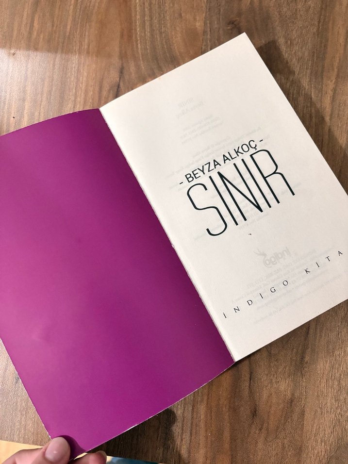 Beyza Alkoç - Sınır Romanı - Görsel 2