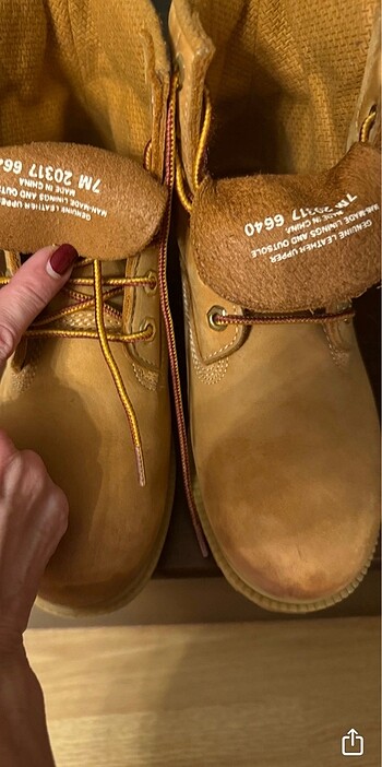 TIMBERLAND BOT