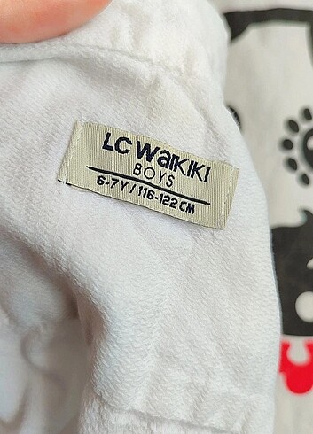 LC Waikiki Erkek gömlek