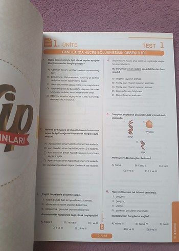  Beden Renk 10. Sınıf Biyoloji Soru Bankası