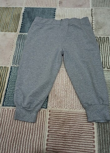 Hollister Kapri