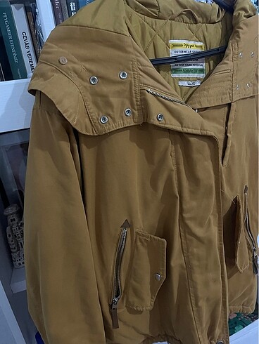 l Beden Pull bear mont