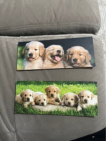 Köpekli tablo