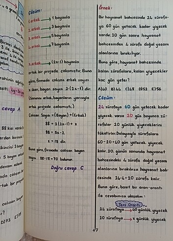  Beden Renk Kr akademi problemler kitabı 