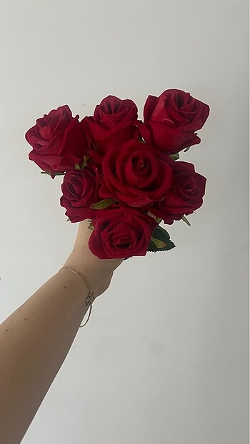 Kırmızı 7 Kafalı Kadife Gül