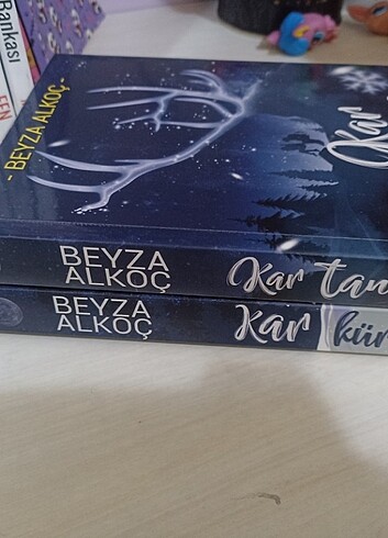  Kar küresi & kar tanesi