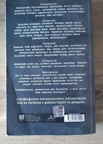 Aslı Arslan - Emare Sarmasık Roman