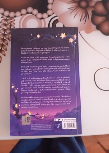 Violet Dikenlerin Menekşesi - Gina Chen