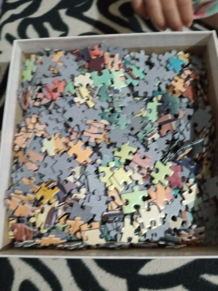 1000 Parça Turkuaz Martı Temalı Puzzle - Görsel 3