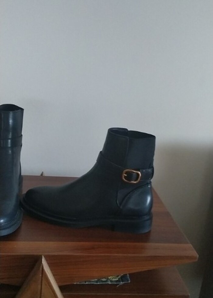 Mango bot - Görsel 3