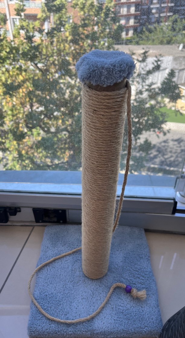 Mavi Tabanlı Kedi Tırmalama Direği - Görsel 2