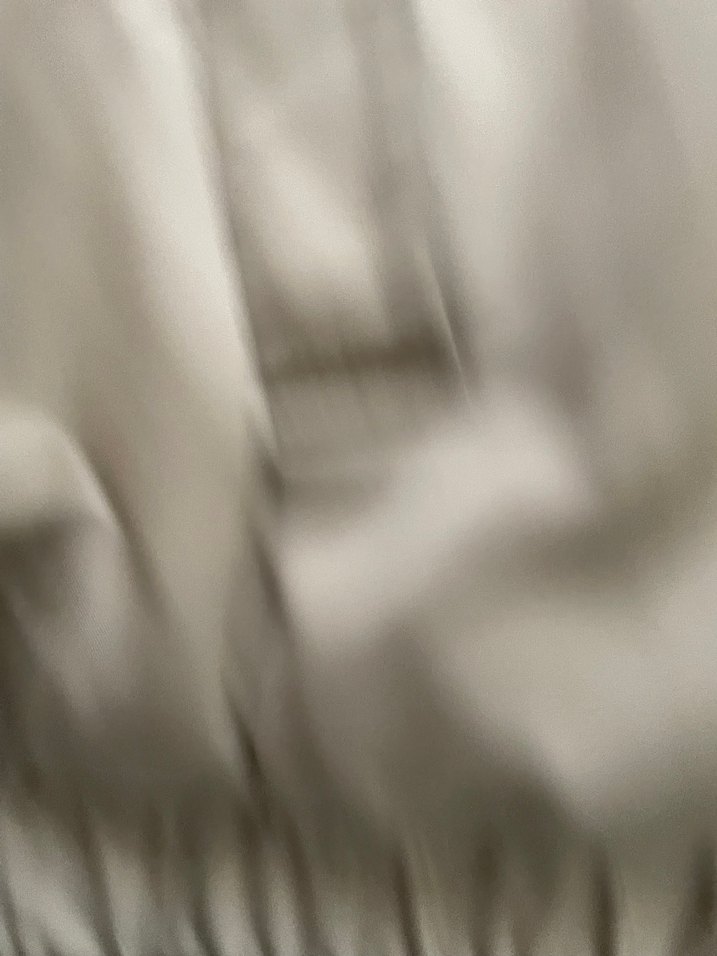 Zara Ceket - Görsel 5