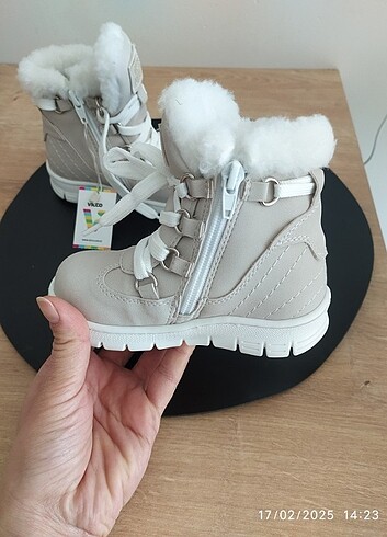 24 Beden Vicco bot