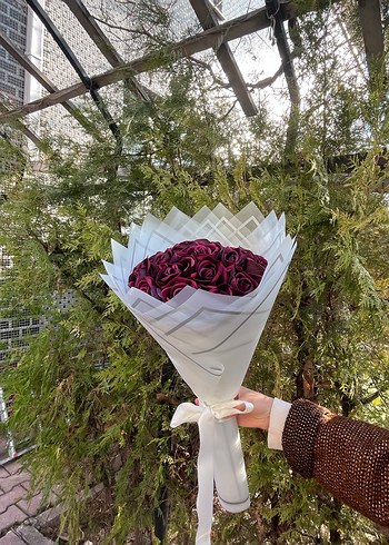 Bordonun esintisi - Görsel 2