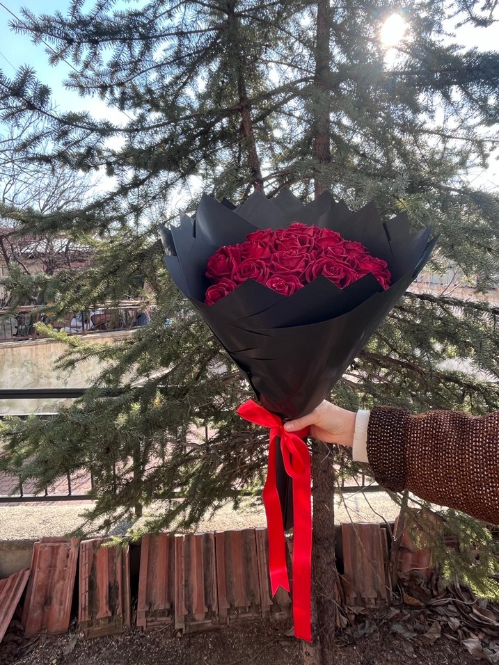 Asaltin Kırmızısı - Görsel 2