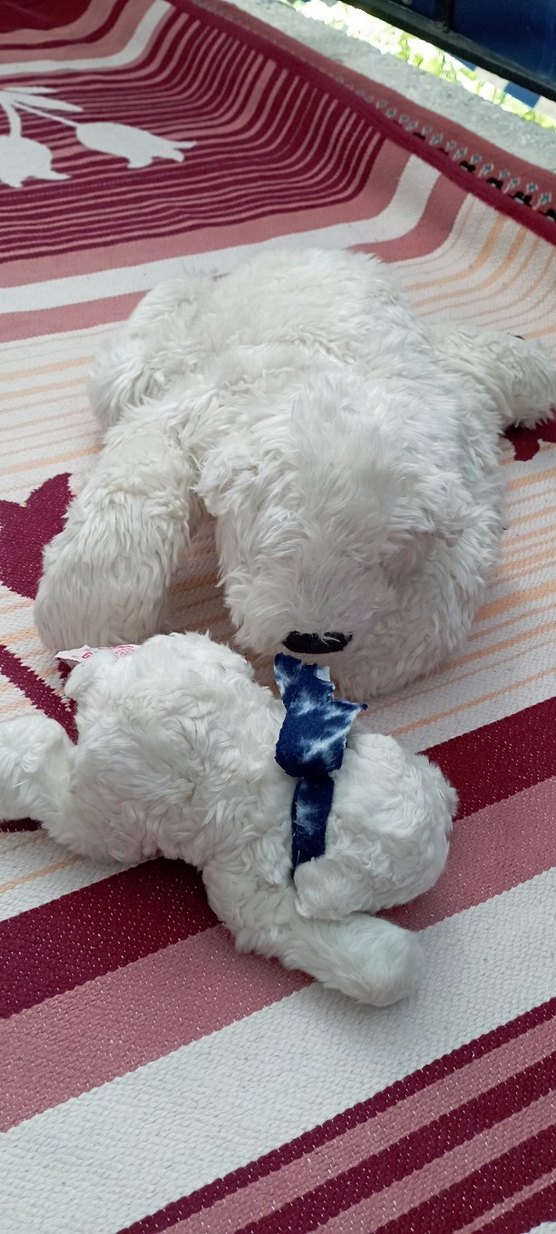 Beyaz yumuşak peluş kutup oyuncak ayı yavru ve anne - Görsel 2