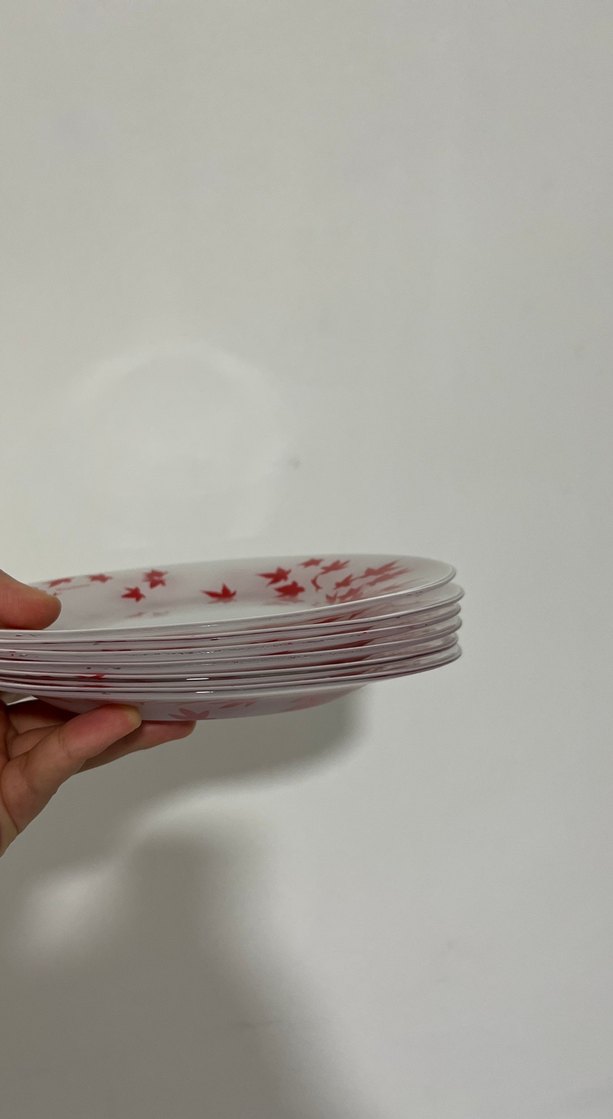 Kırmızı Yaprak Desenli Cam Tabak 6lı - Görsel 2