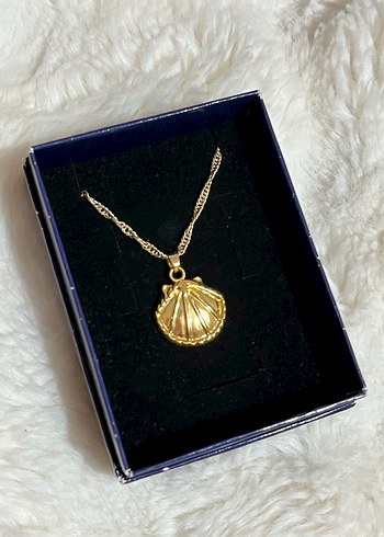  Beden Gold deniz kabuğu kolye