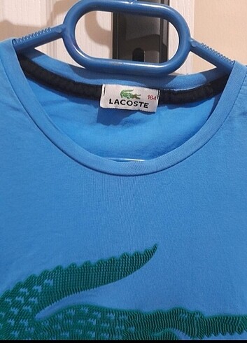 Çocuk tişört  - Görsel 4