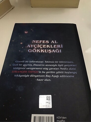  STRANGER THİNGS - Şüpheci Zihinler