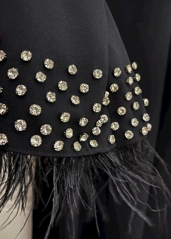 Tüy Detaylı Siyah Uzun Kadın Elbise - Görsel 2