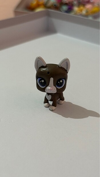 LPS minis