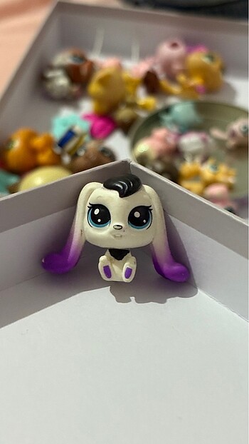 LPS miniş