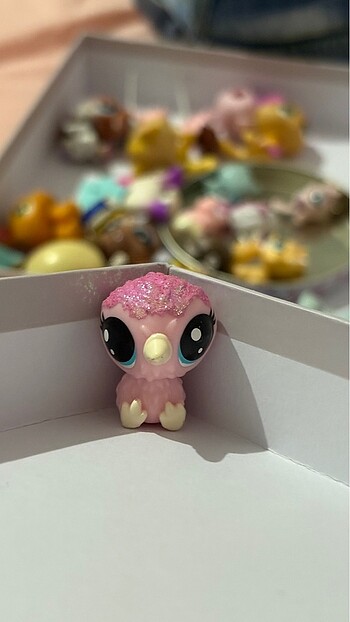 LPS miniş