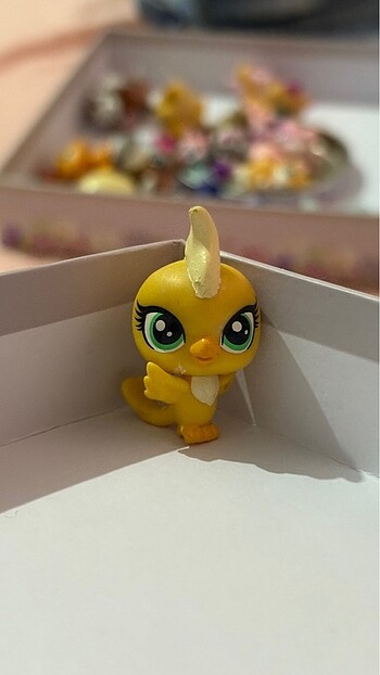 LPS miniş