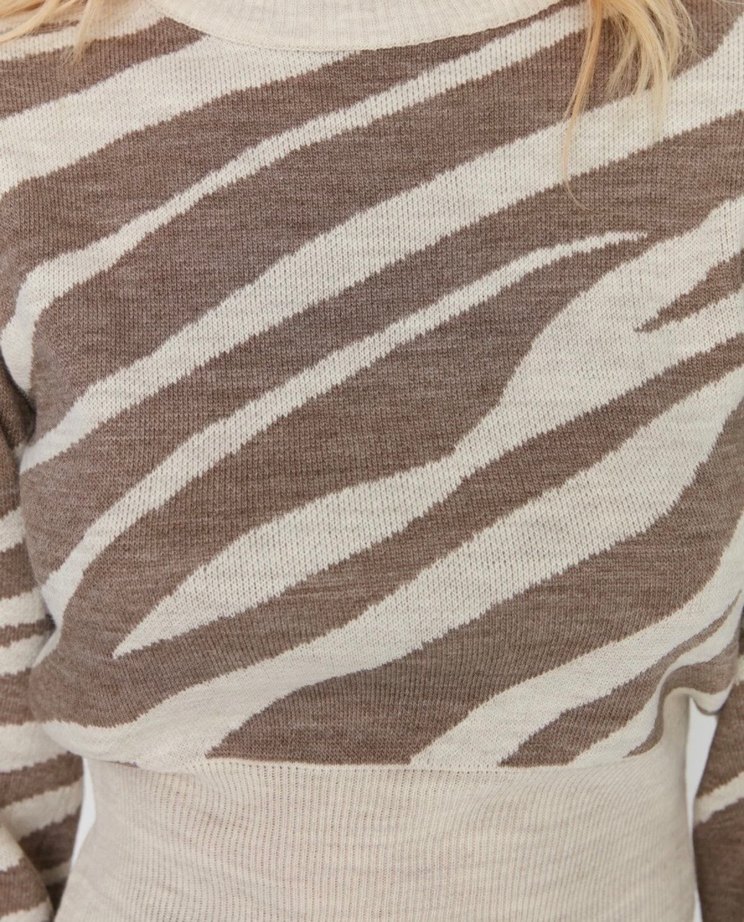 Vizon Zebra Desenli Triko Kadın Kazak - Görsel 5