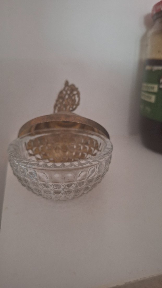 Bej Parlak Dekoratif Vazolu Kapak - Görsel 2