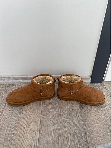 37 Beden Ugg bot