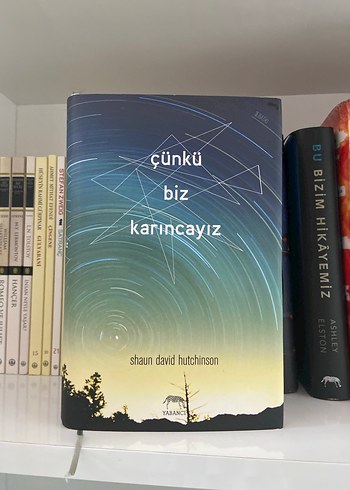 Çünkü Biz Karıncayız - Shaun David Hutchinson
