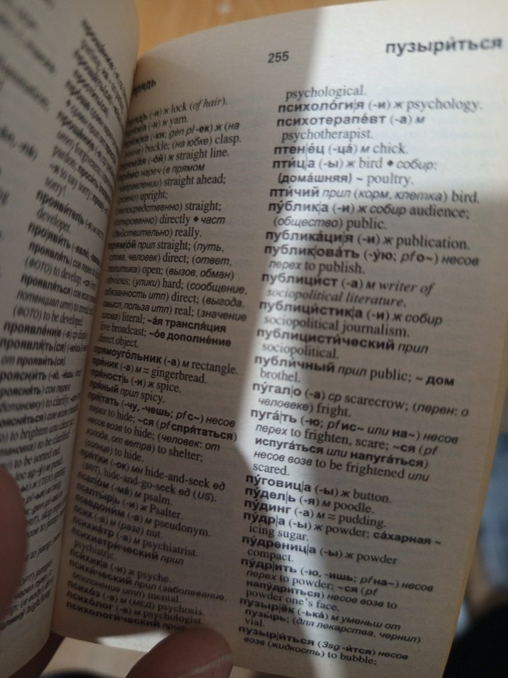 Collins Gem Rusça-İngilizce Mini Sözlük - Görsel 5