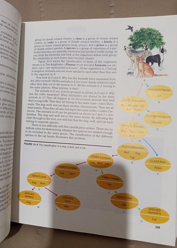 Silver Burdett Biology Kitabı İngilizce - Görsel 2
