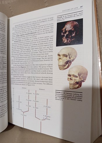 Silver Burdett Biology Kitabı İngilizce - Görsel 5