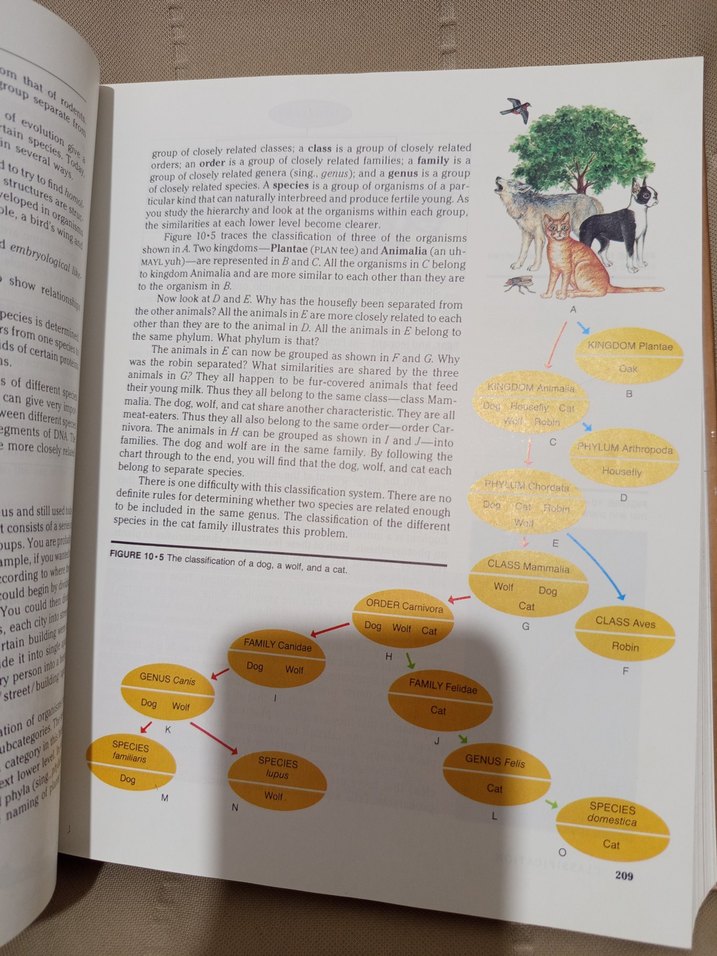 Silver Burdett Biology Kitabı İngilizce - Görsel 2