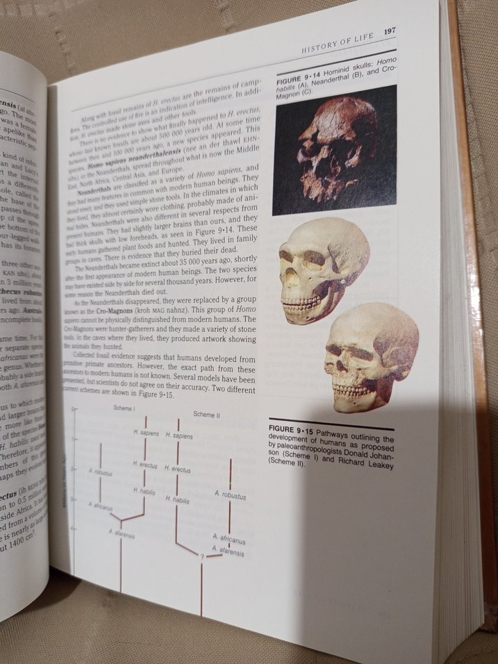 Silver Burdett Biology Kitabı İngilizce - Görsel 5